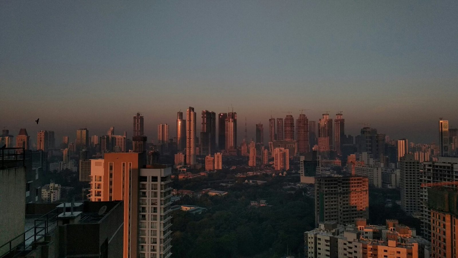 BSE-Listed Legacy